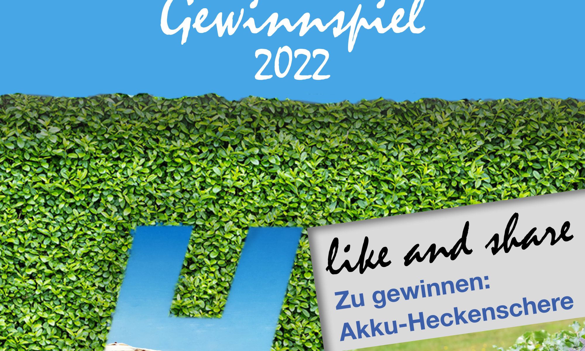 Hoffmann Sommer Gewinnspiel Profi-Akku-Heckenschere